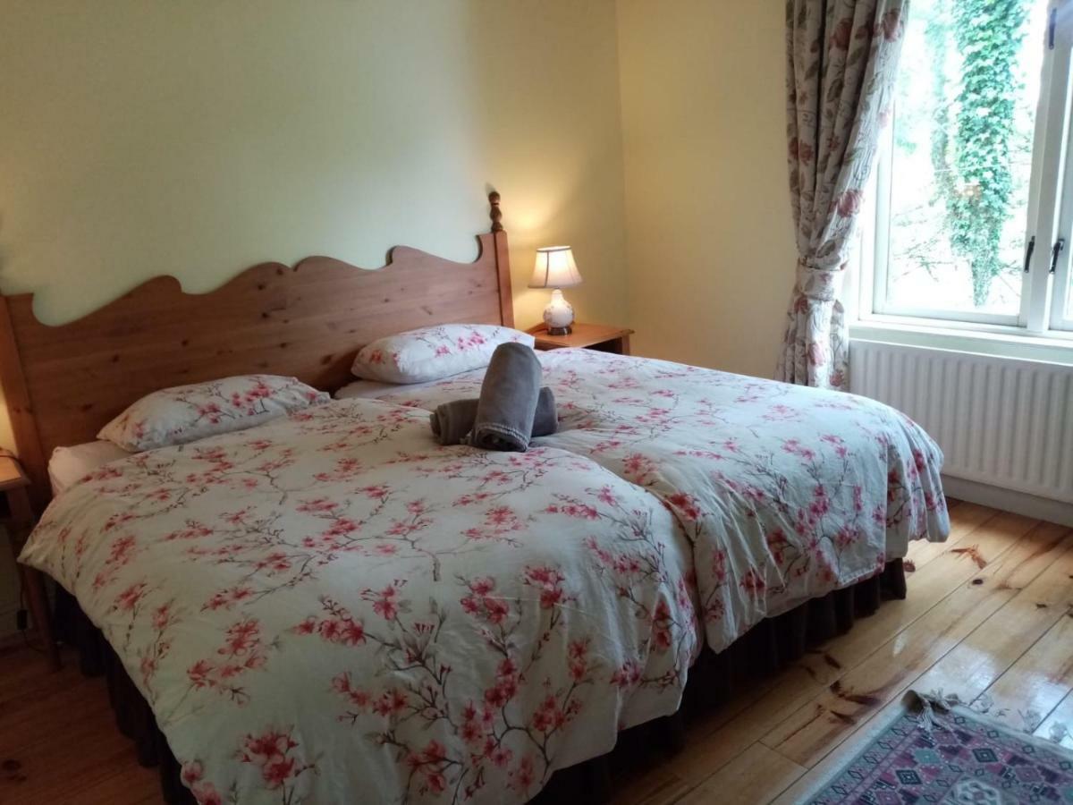 In Ireland Chalet *